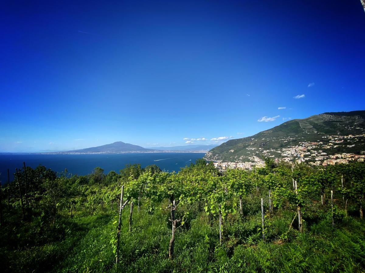 Vila La Badia Montechiaro - Breathtaking View Of Sorrento Coast Vico Equense Exteriér fotografie